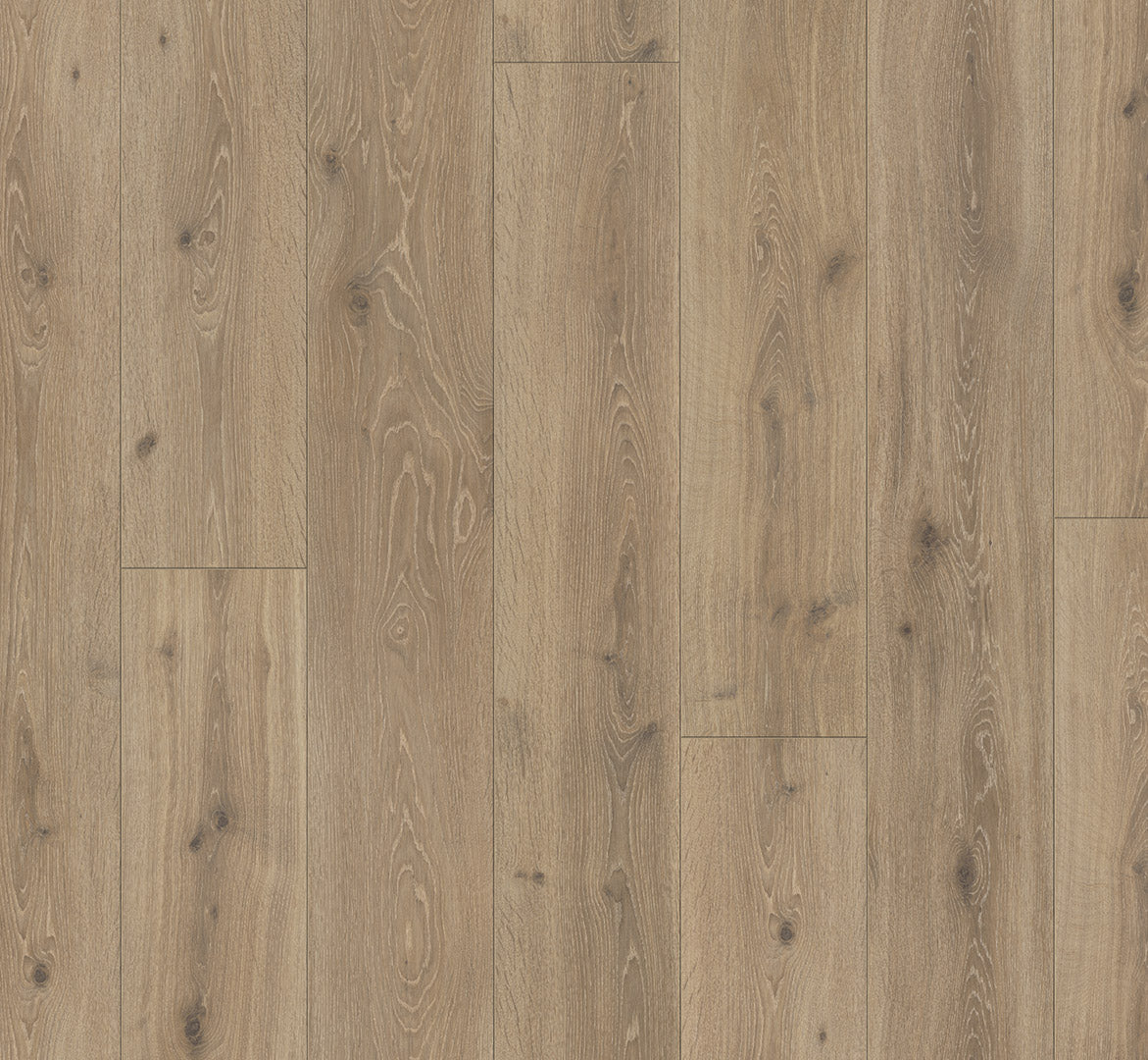 Oak Castell Limed - Trendtime 6 4V AC5/Class 33 - Chateau Plank XXL