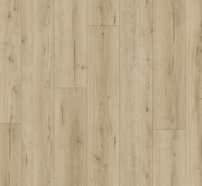 Oak Loft Pure - Trendtime 6 4V AC5/Class 33 - Chateau Plank XXL