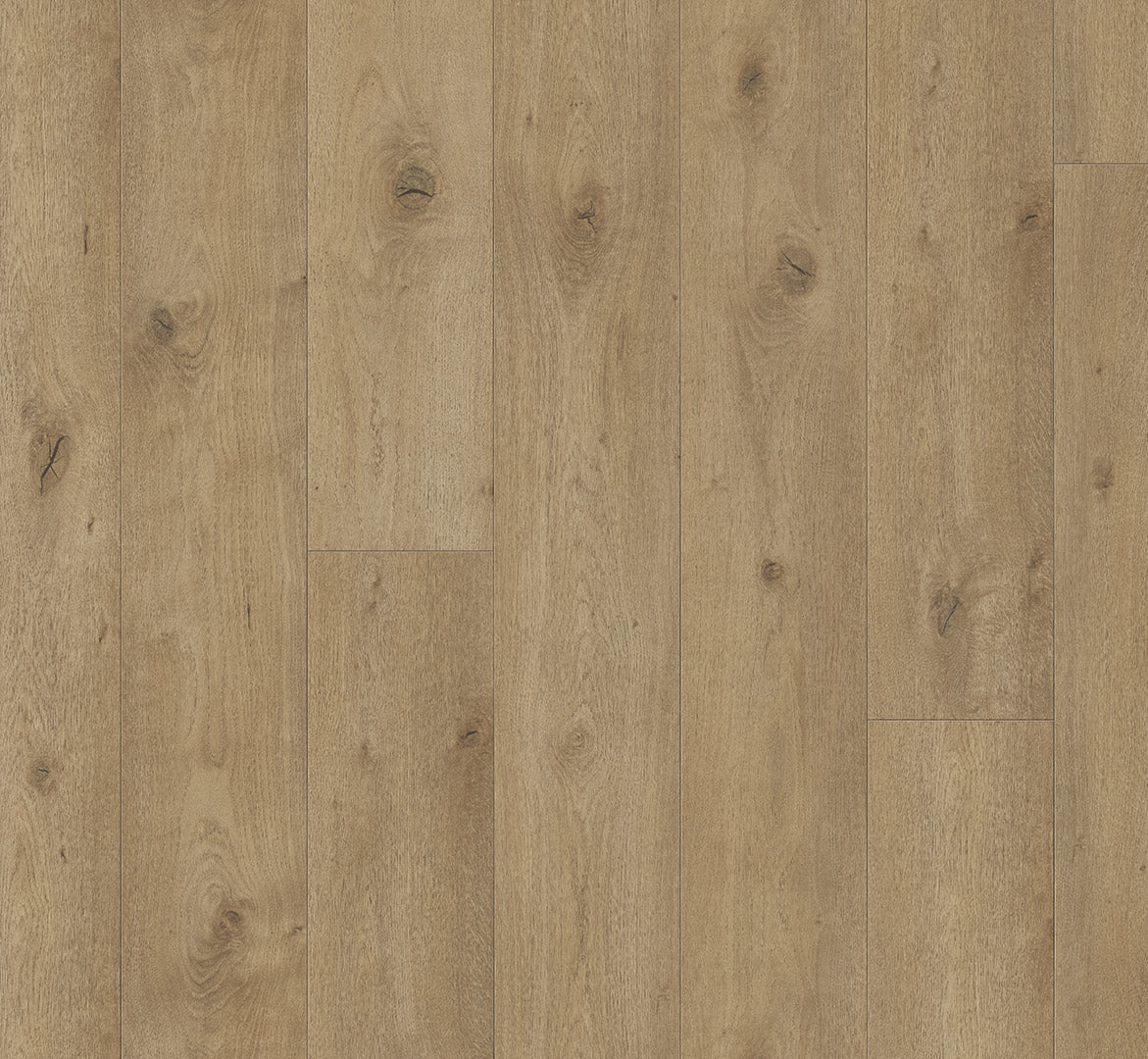 Everglade - Trendtime 6 4V AC5/Class 33 - Chateau Plank XXL