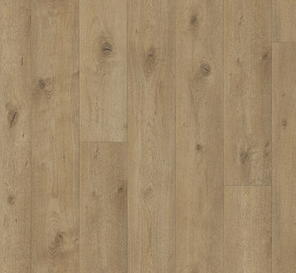 Everglade - Trendtime 6 4V AC5/Class 33 - Chateau Plank XXL
