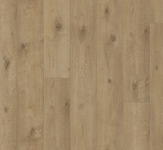 Everglade - Trendtime 6 4V AC5/Class 33 - Chateau Plank XXL
