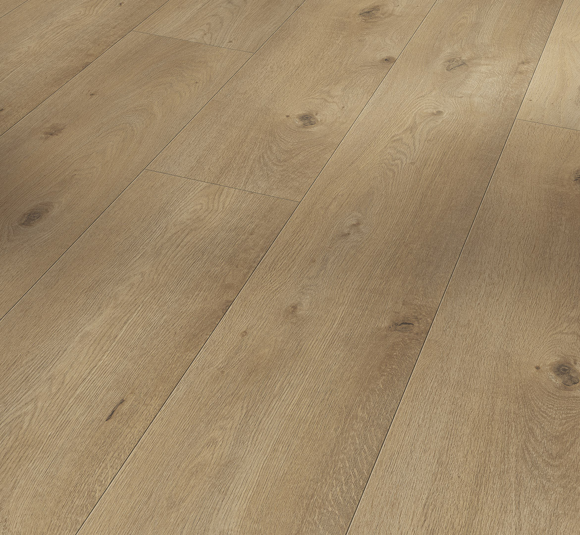Everglade - Trendtime 6 4V AC5/Class 33 - Chateau Plank XXL