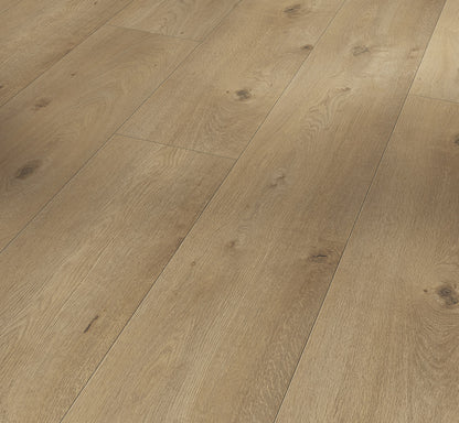 Everglade - Trendtime 6 4V AC5/Class 33 - Chateau Plank XXL